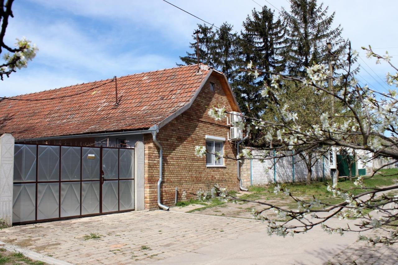 Julia Apartman Pacir Exteriér fotografie